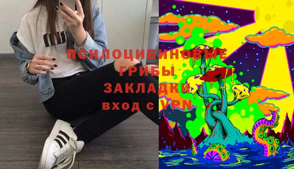 ешки Бронницы
