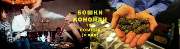 ешки Бронницы