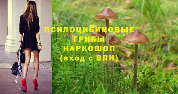 кокаин Бородино