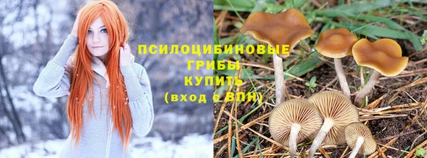 2c-b Бугульма