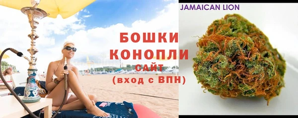ешки Бронницы