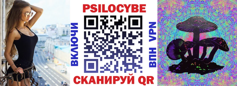 Галлюциногенные грибы прущие грибы  Купить  Новочеркасск 